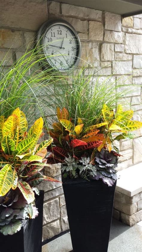 25 Captivating Croton Landscaping Ideas A Gallery Of ѕtᴜппіпɡ Pictures