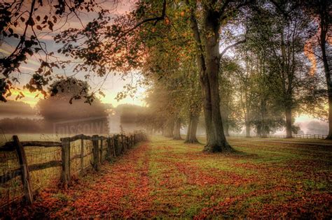 United Kingdom England Warwickshire Treelined Alley And Pasture
