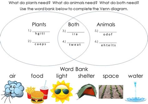 Plant and animal cells objective students will learn about the main components of both animal and plant cells. Needs of Plants and Animals: Venn Diagram - Interactive ...