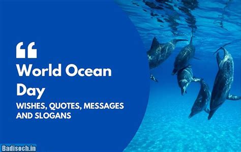 World Oceans Day Wishes 2024 Quotes Me Badisoch