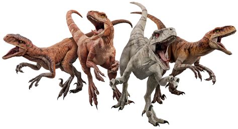 Jurassic World Dominion Atrociraptor Renders Png By Junior3dsymas On