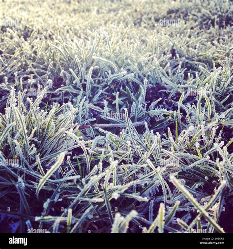 Early Morning Frost Stock Photo Alamy