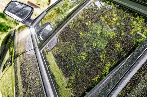 Car Covered By Yellow Pollen Spring Allergic Season Stock Image