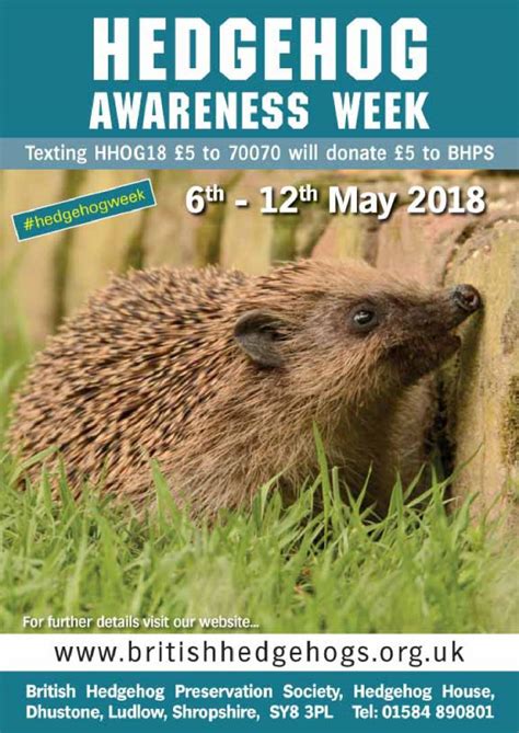 Hedgehog Awareness Week I Love Macc