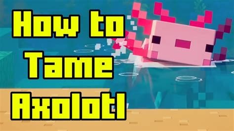How To Tame Axolotl In Minecraft Youtube
