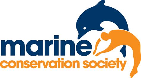 Ocean Blogspot Marine Conservation Society The Uk Charity Protecting