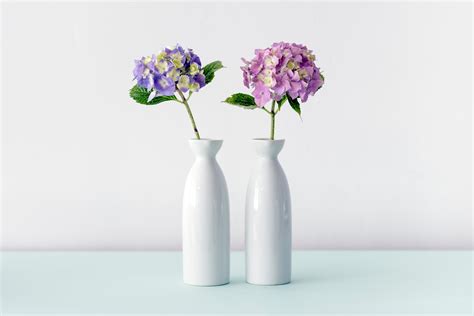 Pink And Purple Flowers On Two Vases Hd Wallpaper Wallpaper Flare