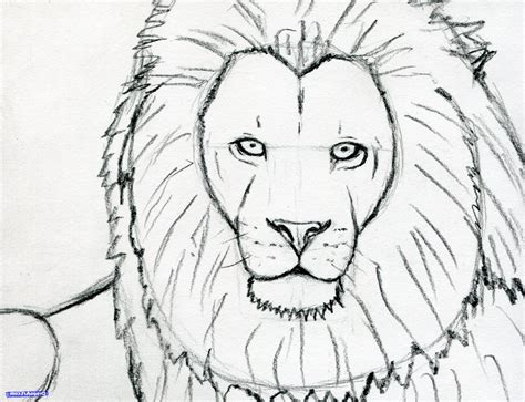 It starts with basic steps and in the end. Simple Lion Face Drawing at GetDrawings | Free download