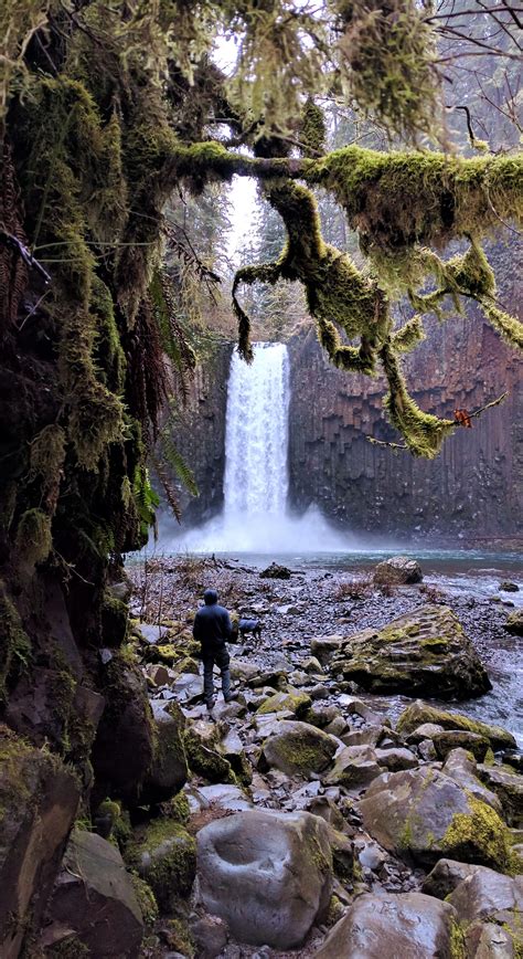 10 Amazing Waterfall Hikes In Oregon Oregon Waterfalls Oregon Hiking