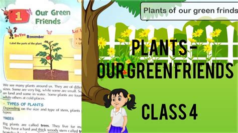 Class4 Science Chapter 1 Plants Our Green Friends Kidslearning
