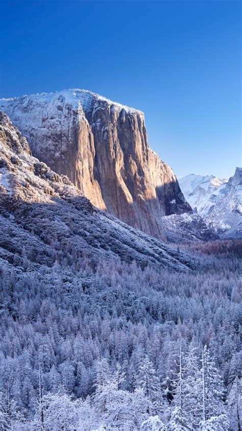 Yosemite National Park Winter Scenery 4k Wallpapers Hd Wallpapers