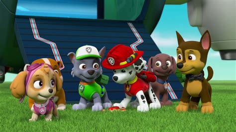 Watch Paw Patrol Season Episode Pups Save An Extreme Lunch Pups