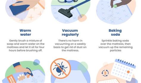 How To Deep Clean A Mattress Six ‘easy Steps To Banish Dust Mites And
