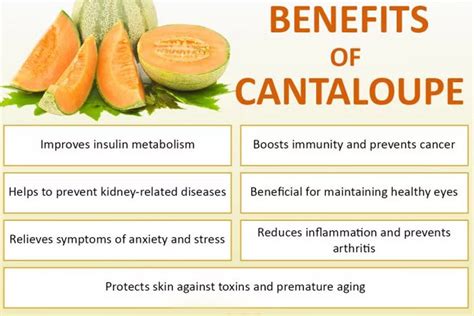 Benefit of the doubt may refer to: Top Health Benefits Of Cantaloupe For Human Health ...