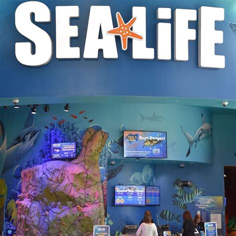 Sea Life Aquarium Orlando A Haven For Aquatic Life Fia
