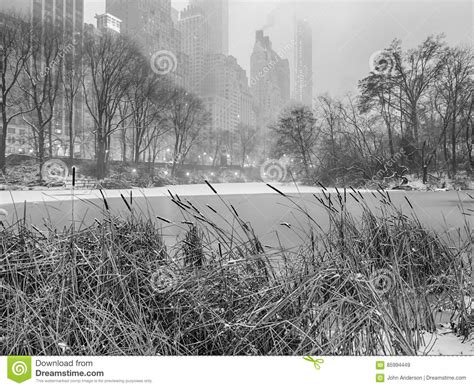 Central Park New York City Snow Storm Stock Image Image Of Central