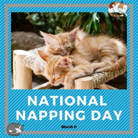 National Napping Day 2019 Best Event In The World