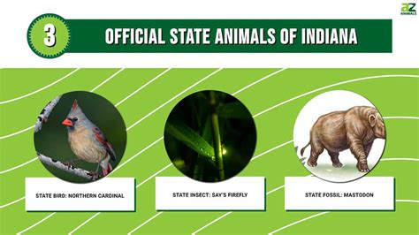 Discover The 3 Official State Animals Of Indiana A Z Animals