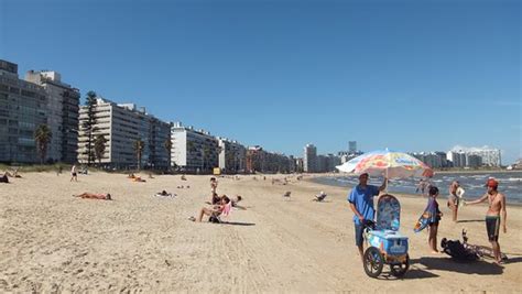 Playa Pocitos Montevideo All You Need To Know Before You Go With