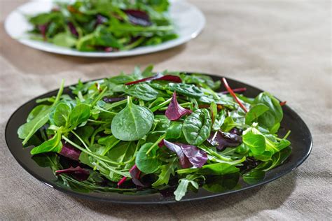 Not Sure About Your Leafy Greens 5 Popular Varieties And How To Use Them