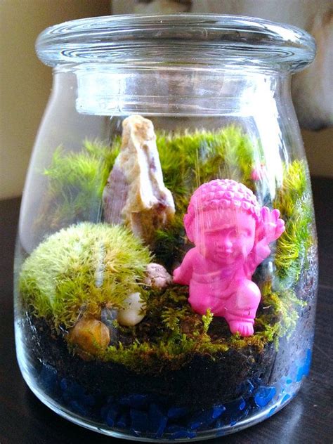 How would you like a little garden right in your living room? Moss Terrarium DIY Kit or Assembled Miniature Garden w ...