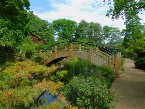 The Moon Bridge Fort Worth Botanic Garden