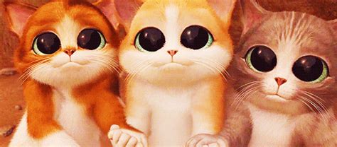 Because the tuxedo cat is not a specific breed but a coloration, it's hard to. Cat Eye GIFs - Get the best GIF on GIPHY