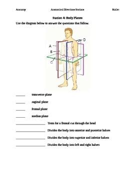 39 body planes and anatomical directions worksheet