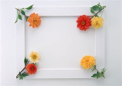 Beautiful Stylish Flowers Photo Frames Download Wallpapers Hd Free