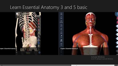 Essential Anatomy 3 Upgrade Tideleaders