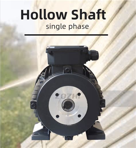 22kw 3hp Hollow Shaft Electric Motor Hs100l2 4 For High Pressure Power