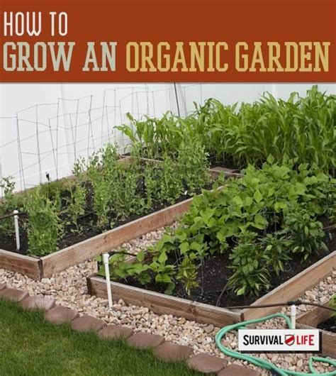 Grow Your Own Organic Garden Even In Small Spaces Veggie Garden Garden