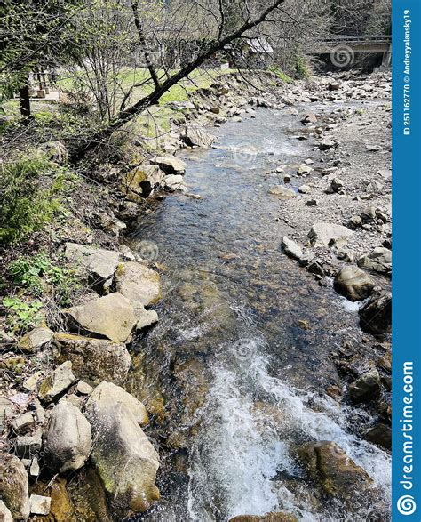 Stream Of Healthy Mineral Water Carpathian Mountains Yaremche