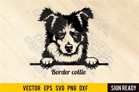 Peeking Border Collie Dog Svg Clipart Vector Cut 1081594 Cut Files