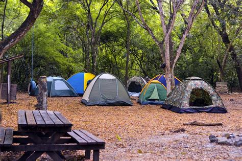 Campamentos Bosque Cerro Blanco