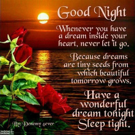 Good Night To You All Have Peaceful Sleep Sweet Dreams♡ Good