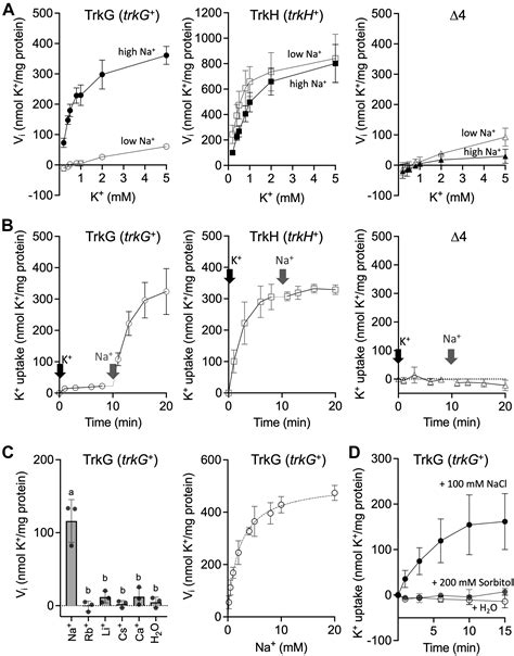 Two Trk/Ktr/HKT-type potassium transporters, TrkG and TrkH, perform