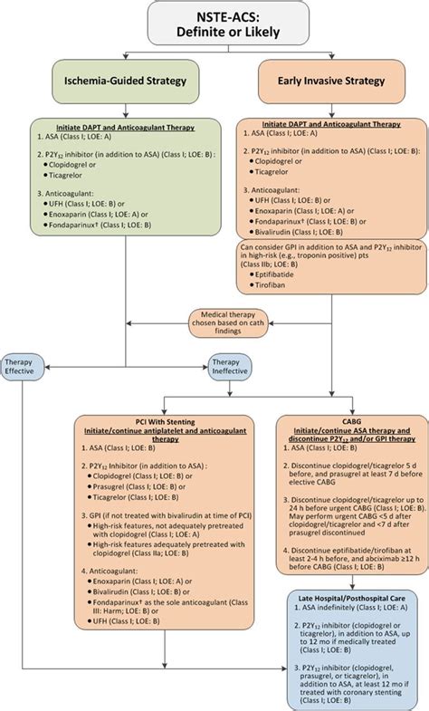 Aha Acc Guideline For The Management Of Patients With Nonst