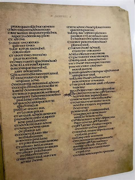 Codex Amiatinus Ad 688 713 — A P Manuscripts