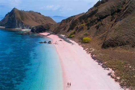 Bak Negeri Dongeng 10 Potret Cantiknya Pantai Pink Di Pulau Flores