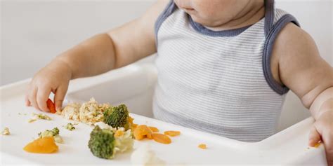 Baby Led Weaning cómo iniciarse en la alimentación complementaria