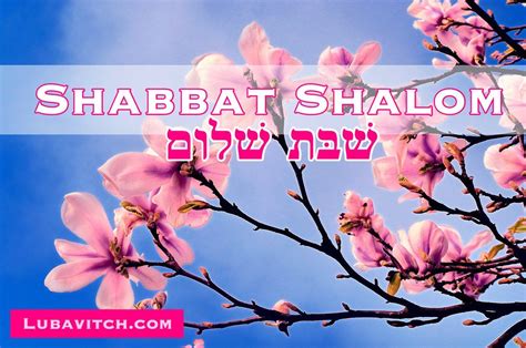 Chabad Lubavitch Hq Lubavitch Twitter Shabbat Shalom Shabbat