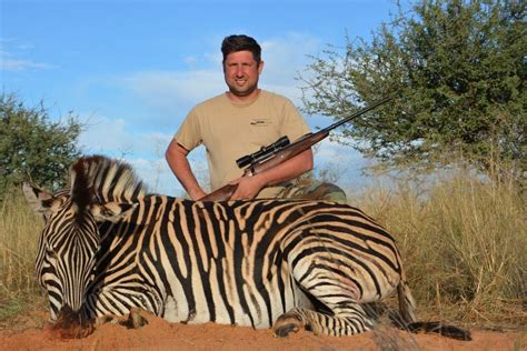 Quatro 4 Day Zebra And Blesbok Hunt For Two Hunters In Namibia