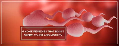 6 Ultimate Home Remedies That Boost Sperm Count And Motility Charak