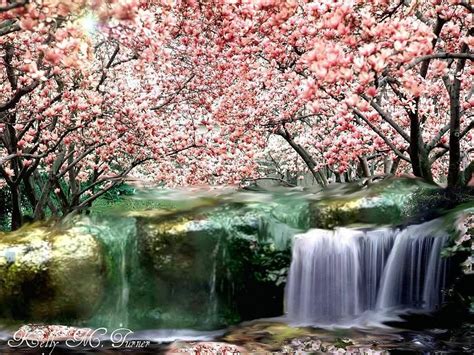 Blossom Tree And Waterfall