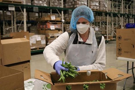 Someone from the greater chicago food depository will be in contact with you soon. Vineyard Food Pantry, Producemobile adapt to pandemic ...