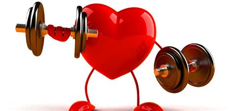 Melhores Exercícios Para A Saúde Do Coração
