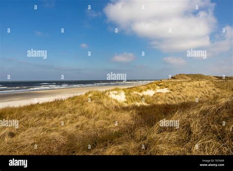 Nordsee Insel Juist Ostfriesland Strand Dünen Landschaft