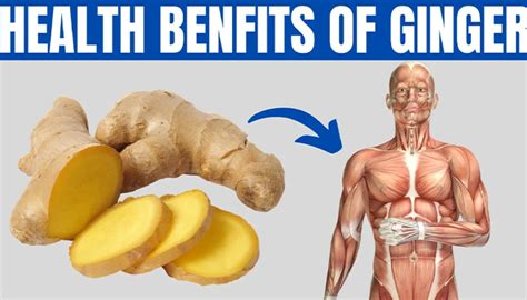 Top 10 Amazing Health Benefits Of Ginger Health Care For Men