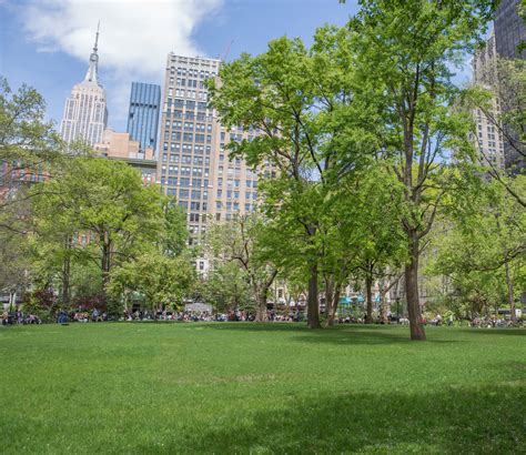 Open Lawns - Madison Square Park Conservancy